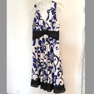 S. L. Fashions Flirty Blue and White Floral sleeveless A-line dress, size 14